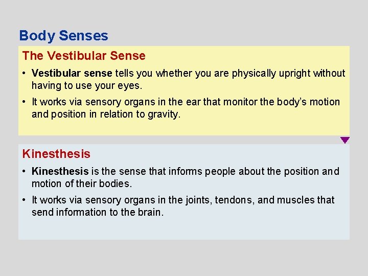 Body Senses The Vestibular Sense • Vestibular sense tells you whether you are physically