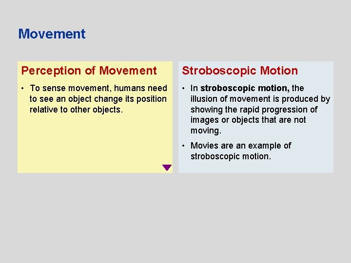 Movement Perception of Movement Stroboscopic Motion • To sense movement, humans need to see