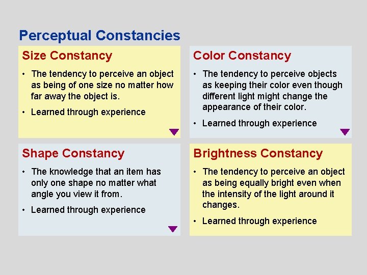 Perceptual Constancies Size Constancy Color Constancy • The tendency to perceive an object as