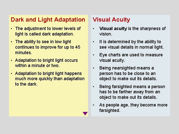 Dark and Light Adaptation Visual Acuity • The adjustment to lower levels of light