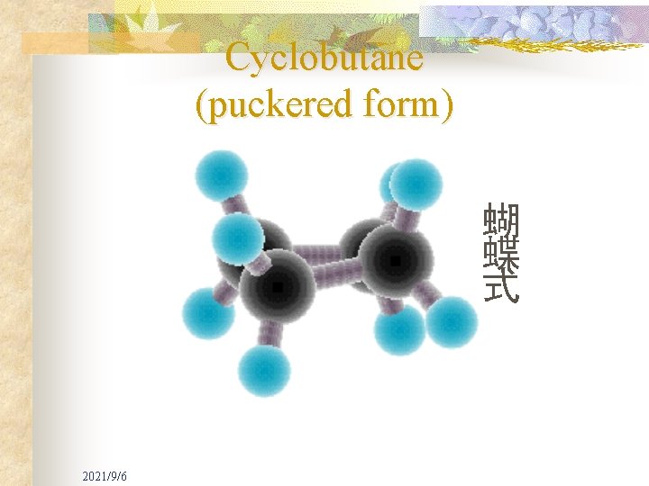 Cyclobutane (puckered form) 蝴 蝶 式 2021/9/6 