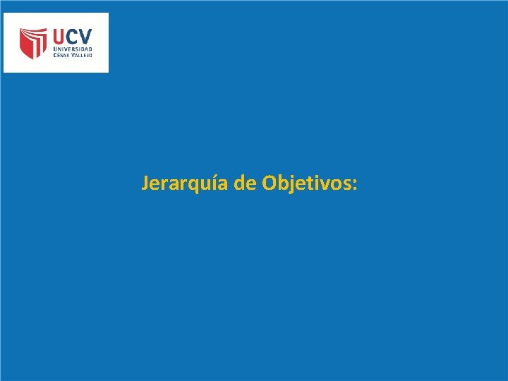 V Jerarquía de Objetivos: 