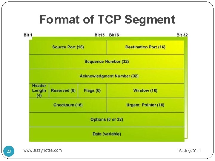 Format of TCP Segment 28 www. eazynotes. com 16 -May-2011 