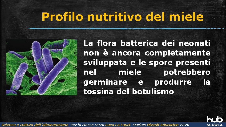 Profilo nutritivo del miele La flora batterica dei neonati non è ancora completamente sviluppata