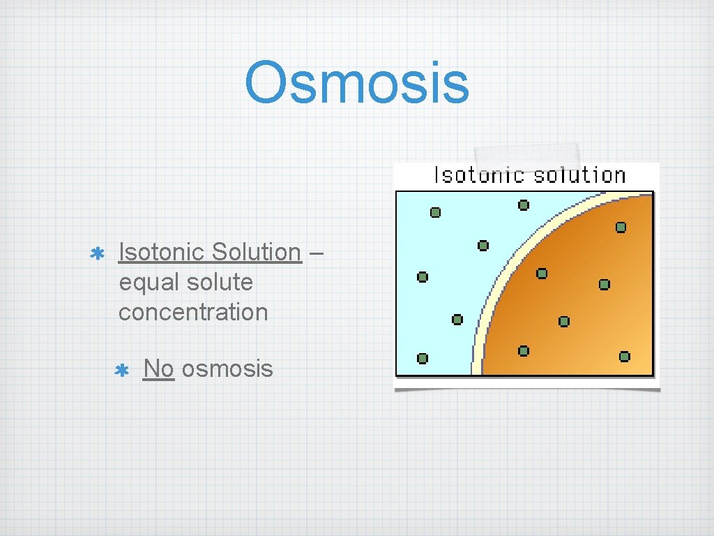 Osmosis Isotonic Solution – equal solute concentration No osmosis 