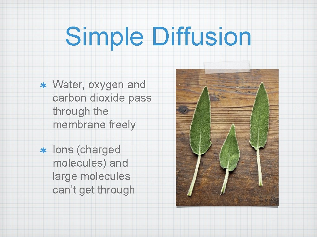 Simple Diffusion Water, oxygen and carbon dioxide pass through the membrane freely Ions (charged