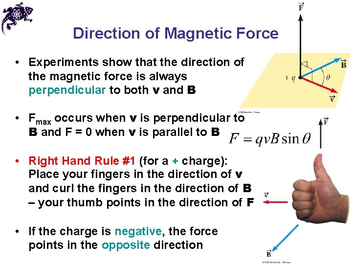 Direction of Magnetic Force • Experiments show that the direction of the magnetic force