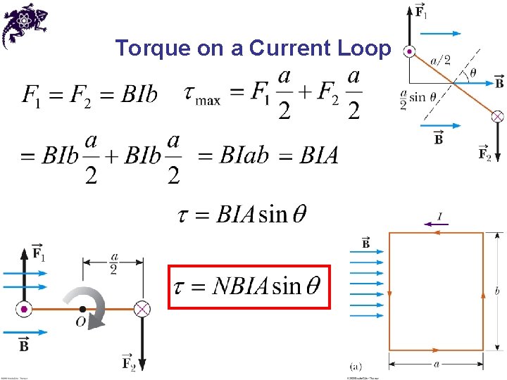 Torque on a Current Loop 