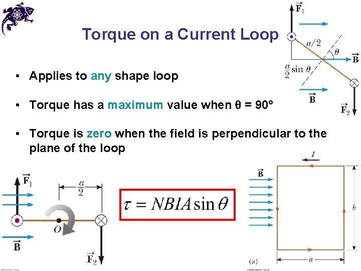 Torque on a Current Loop • Applies to any shape loop • Torque has
