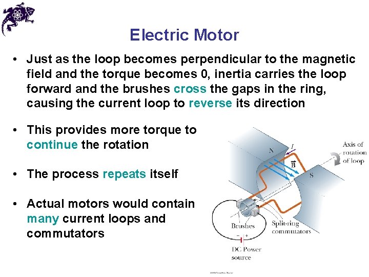 Electric Motor • Just as the loop becomes perpendicular to the magnetic field and