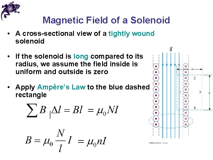 Magnetic Field of a Solenoid • A cross-sectional view of a tightly wound solenoid