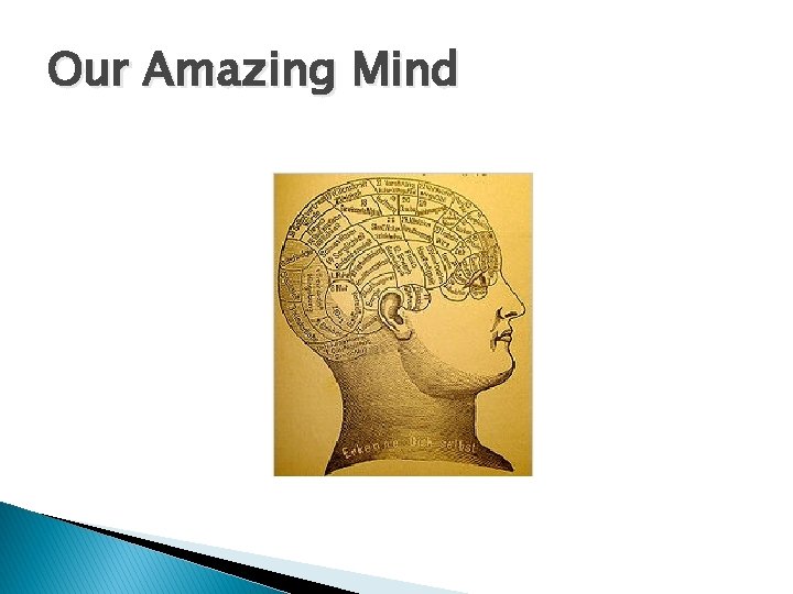 Our Amazing Mind 