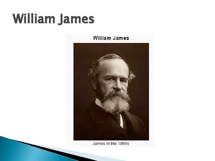 William James 