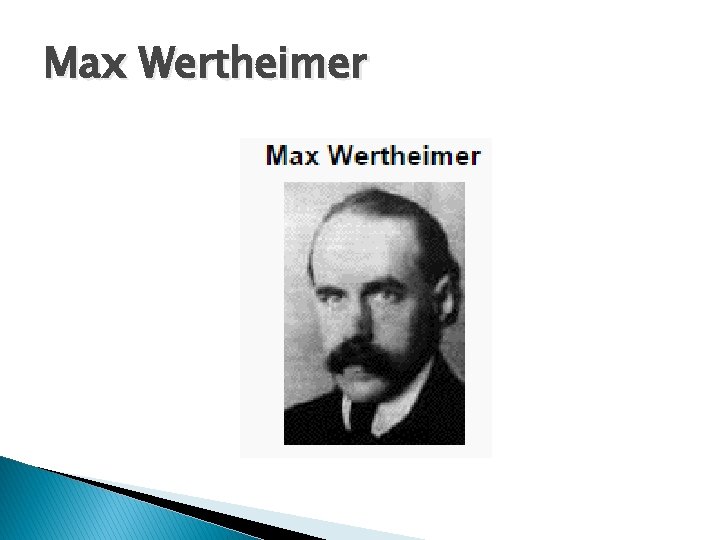 Max Wertheimer 
