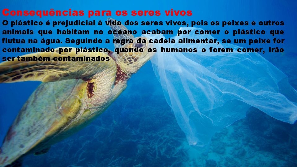 Consequências para os seres vivos O plástico é prejudicial à vida dos seres vivos,
