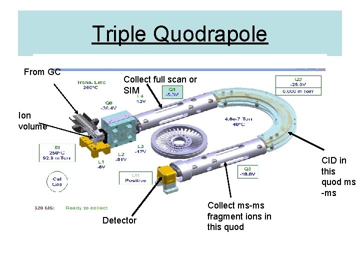 Triple Quodrapole From GC Collect full scan or SIM Ion volume CID in this