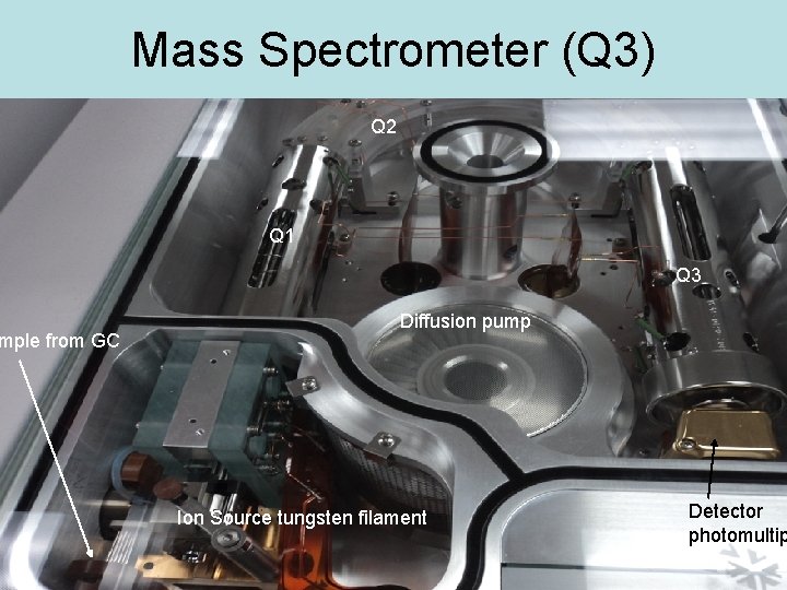 mple from GC Mass Spectrometer (Q 3) Q 2 Q 1 Q 3 Diffusion
