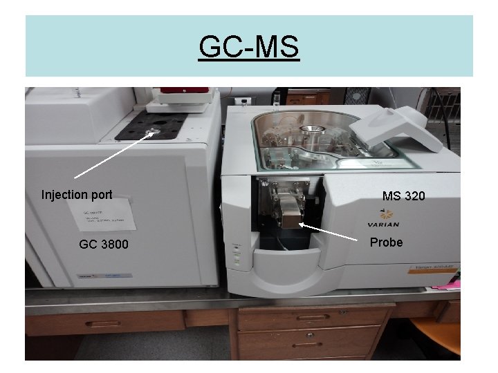 GC-MS Injection port GC 3800 MS 320 Probe 
