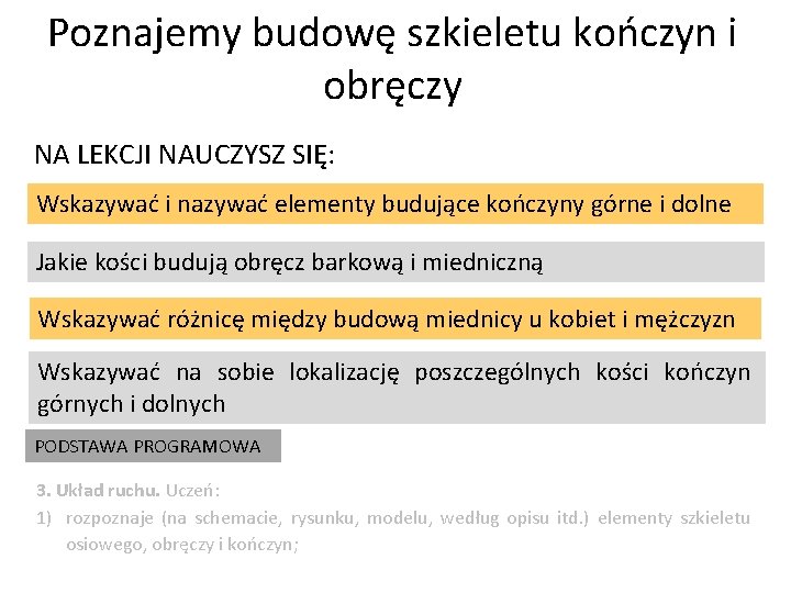 Poznajemy budowę szkieletu kończyn i obręczy NA LEKCJI NAUCZYSZ SIĘ: Wskazywać i nazywać elementy