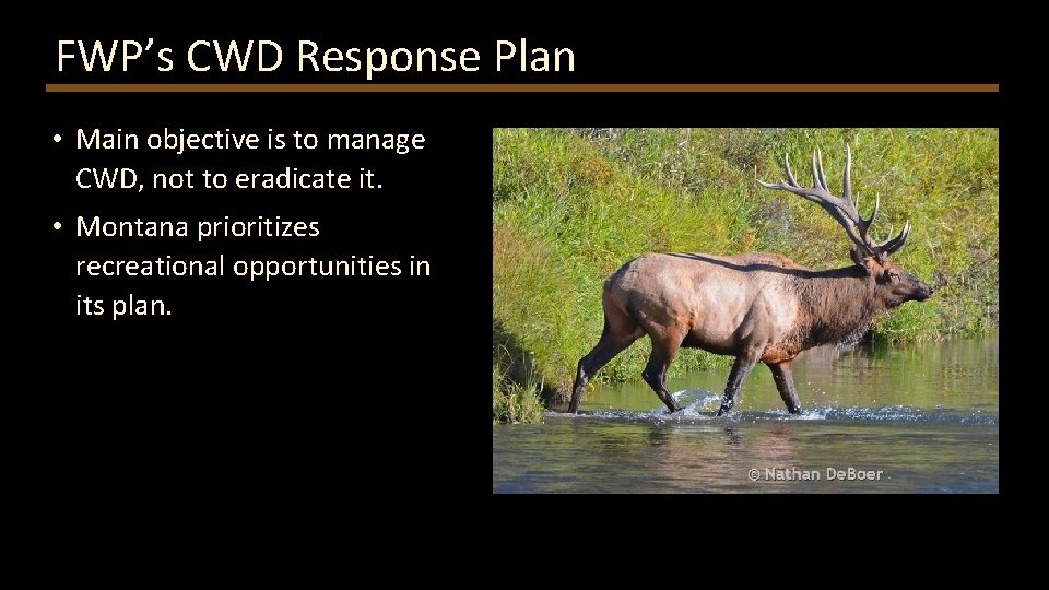 FWP’s CWD Response Plan • Main objective is to manage CWD, not to eradicate