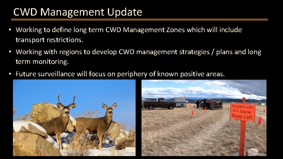 CWD Management Update • Working to define long term CWD Management Zones which will