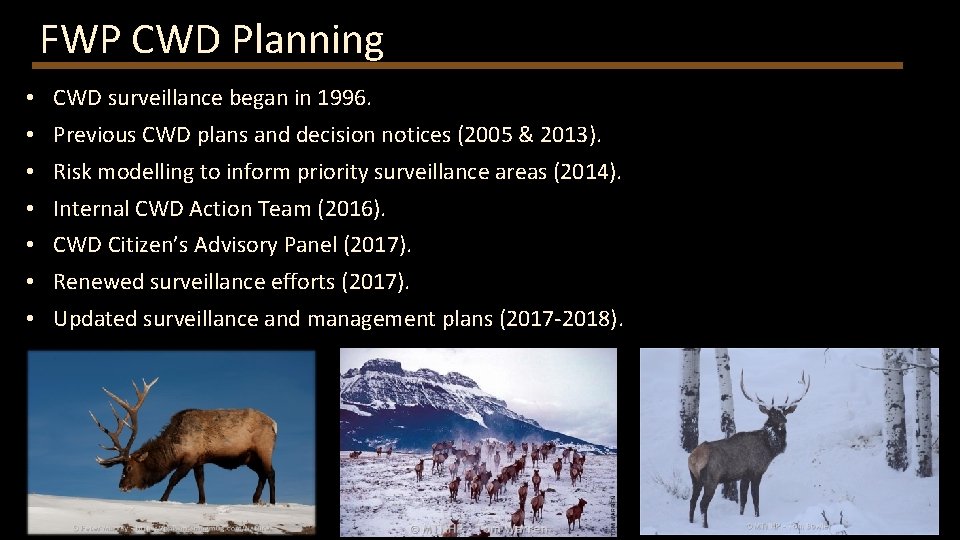 FWP CWD Planning • CWD surveillance began in 1996. • Previous CWD plans and