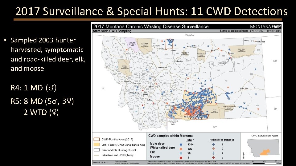 2017 Surveillance & Special Hunts: 11 CWD Detections • Sampled 2003 hunter harvested, symptomatic