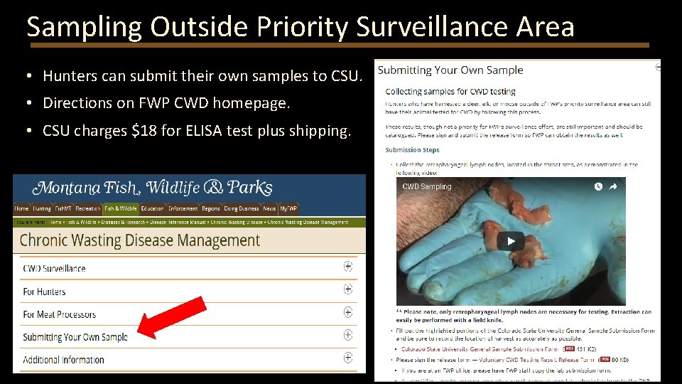Sampling Outside Priority Surveillance Area • Hunters can submit their own samples to CSU.