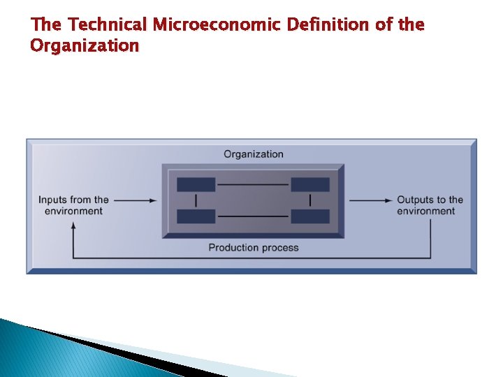 The Technical Microeconomic Definition of the Organization 