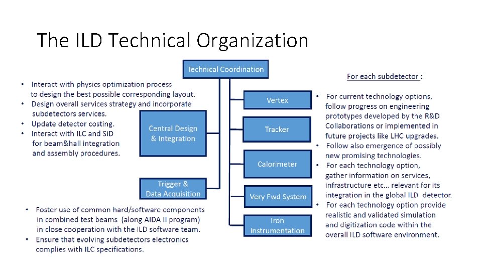The ILD Technical Organization The ILD Technical Organization