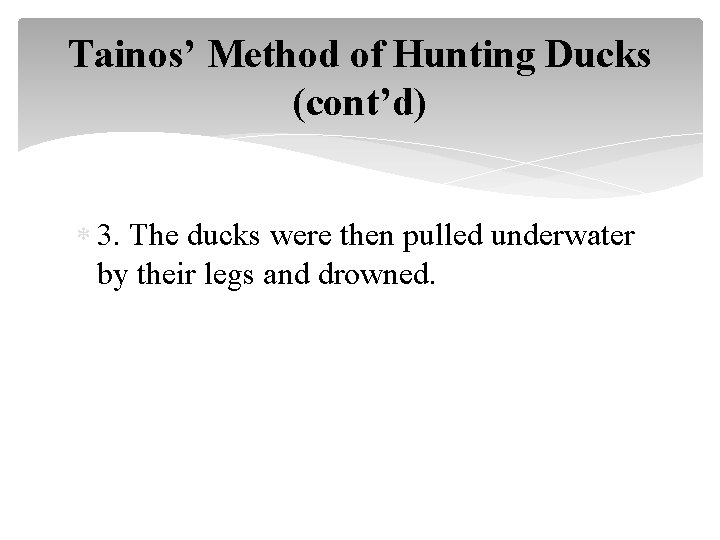 Tainos’ Method of Hunting Ducks (cont’d) 3. The ducks were then pulled underwater by