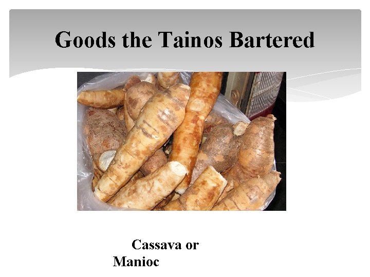 Goods the Tainos Bartered Cassava or Manioc 