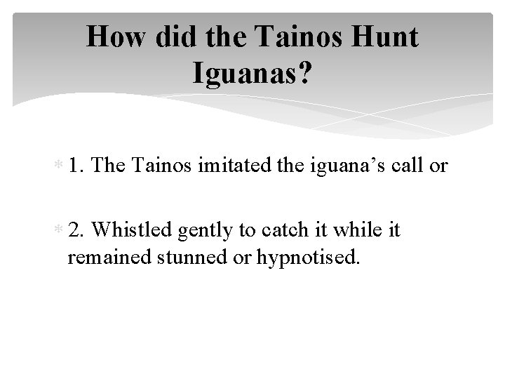 How did the Tainos Hunt Iguanas? 1. The Tainos imitated the iguana’s call or