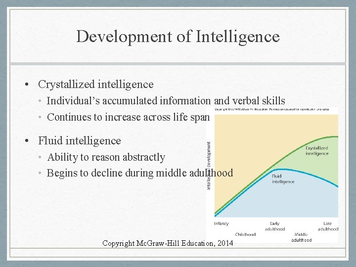 Development of Intelligence • Crystallized intelligence • Individual’s accumulated information and verbal skills •