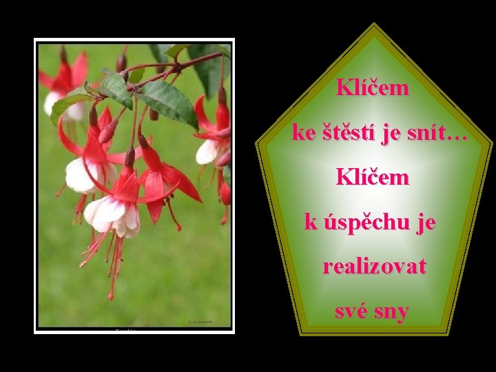 Klíčem ke štěstí je snít… Klíčem k úspěchu je realizovat své sny 