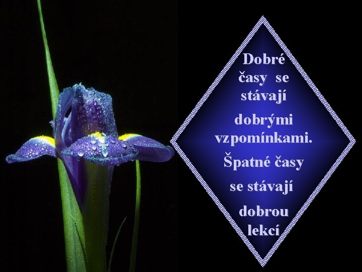 Dobré časy se stávají dobrými vzpomínkami. Špatné časy se stávají dobrou lekcí 