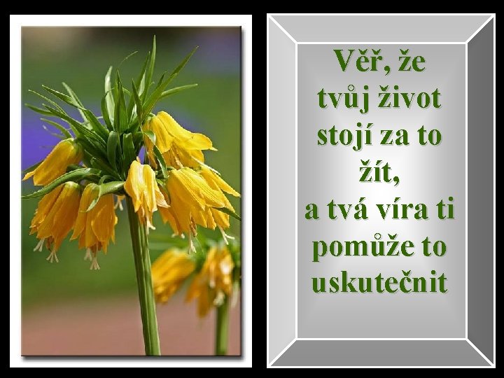 Věř, že tvůj život stojí za to žít, a tvá víra ti pomůže to