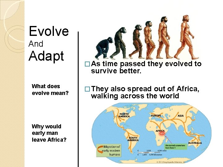 Evolve And Adapt What does evolve mean? Why would early man leave Africa? �