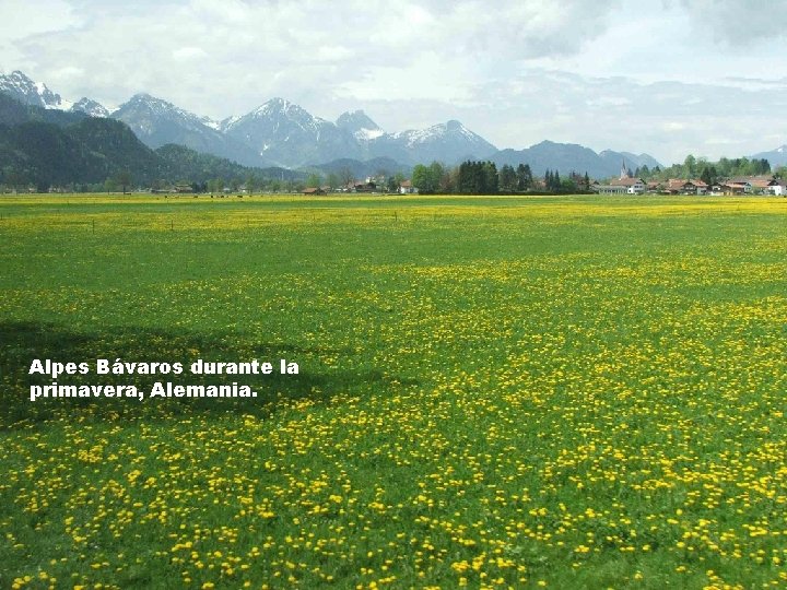 Alpes Bávaros durante la primavera, Alemania. 