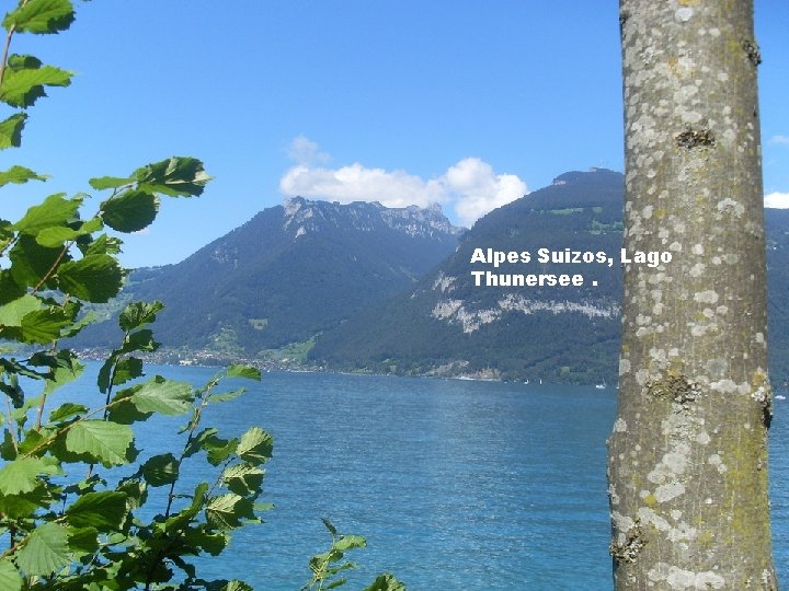 Alpes Suizos, Lago Thunersee. 