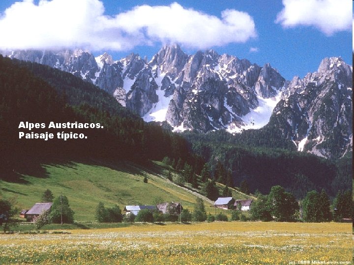 Alpes Austriacos. Paisaje típico. 