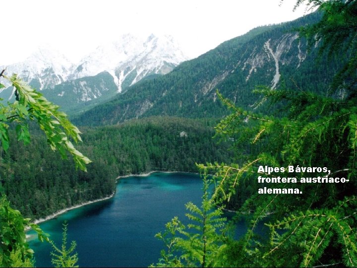 Alpes Bávaros, frontera austriacoalemana. 