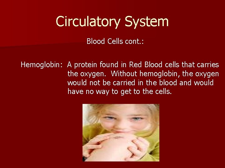 Circulatory System Blood Cells cont. : Hemoglobin: A protein found in Red Blood cells