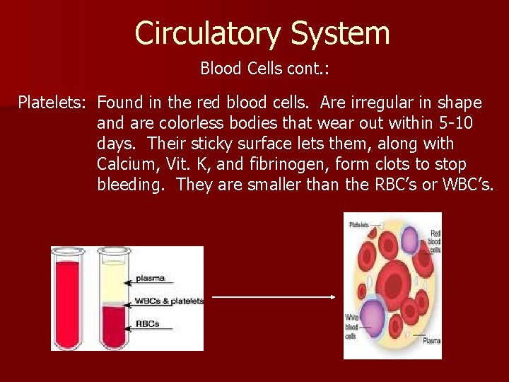 Circulatory System Blood Cells cont. : Platelets: Found in the red blood cells. Are Circulatory System Blood Cells cont. : Platelets: Found in the red blood cells. Are