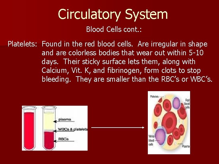 Circulatory System Blood Cells cont. : Platelets: Found in the red blood cells. Are