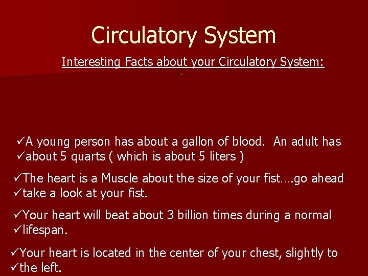 Circulatory System Interesting Facts about your Circulatory System: üA young person has about a