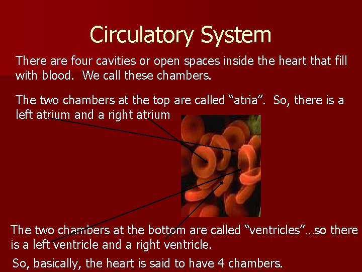 Circulatory System There are four cavities or open spaces inside the heart that fill Circulatory System There are four cavities or open spaces inside the heart that fill