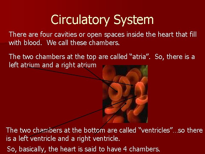 Circulatory System There are four cavities or open spaces inside the heart that fill