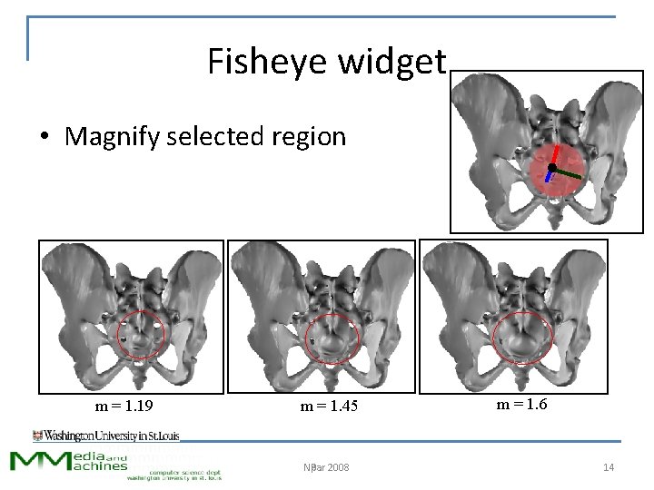 Fisheye widget • Magnify selected region m = 1. 19 m = 1. 45
