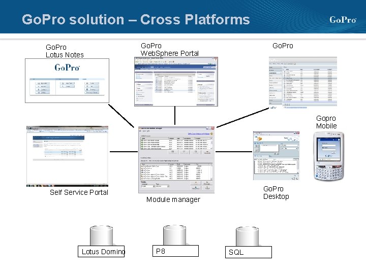 Go. Pro solution – Cross Platforms Go. Pro Lotus Notes Go. Pro Web. Sphere
